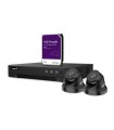 EtiamPro Ip-videobewakingsset - 4-kanaals nvr-recorder - 2 x ip dome-camera - 1 tb hd - kabels